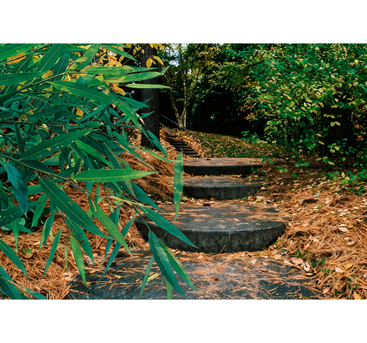 Roller original 3d de pădure și drum mic - TenStickers