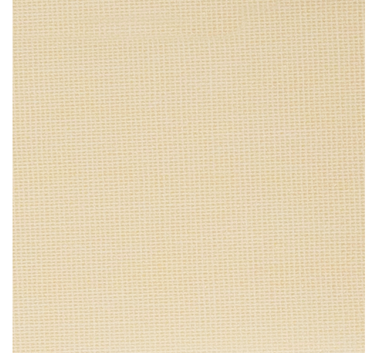 Rulou geam salon Culoarea cămilă translucidă - TenStickers