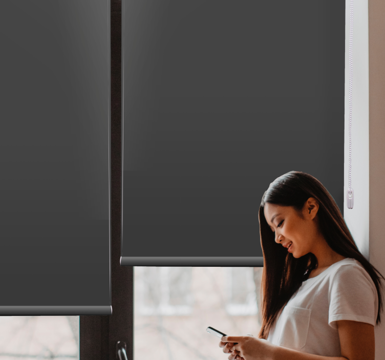 Gri cărbune culoare simplă jaluzea elegantă - TenStickers