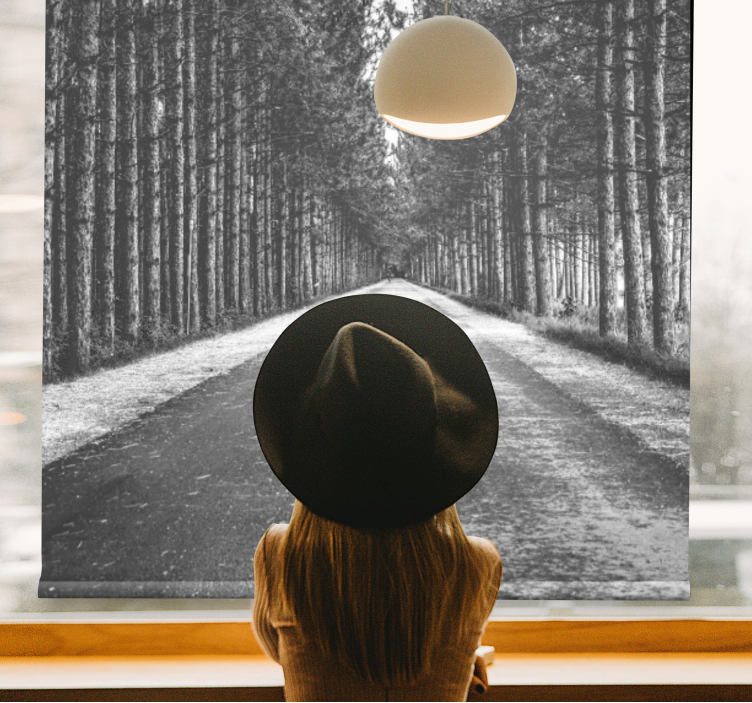 Rulou geam calea forestieră senină - TenStickers