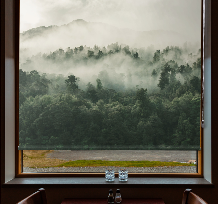 Rulou geam copaci ceață luxuriantă de pădure - TenStickers