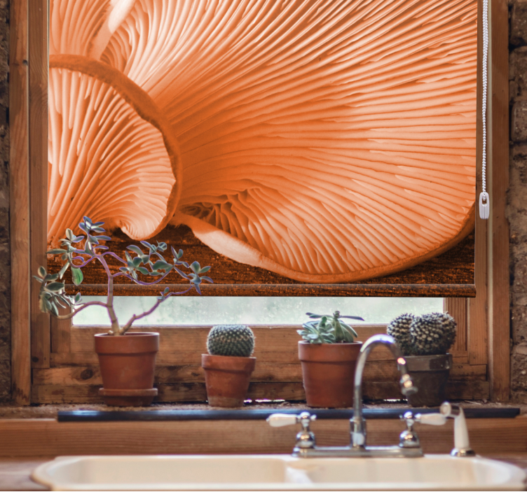 Rulou geam fructe și legume prim-plan branhii de ciuperci - TenStickers