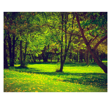 Rulou geam verde priveliște liniștită a pădurii - TenStickers