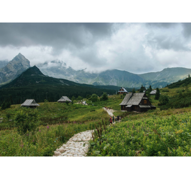 Rulou geam verde case din lemn în munții tatra - TenStickers