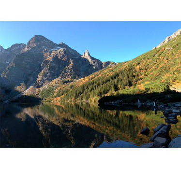 Rulou geam verde lacul ochiul mării primăvara - TenStickers