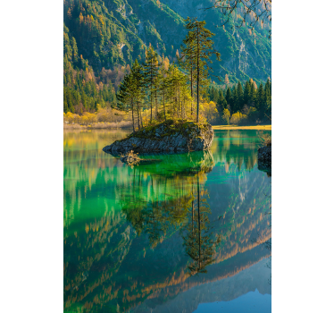 Copac reflectat natura Rulou - TenStickers