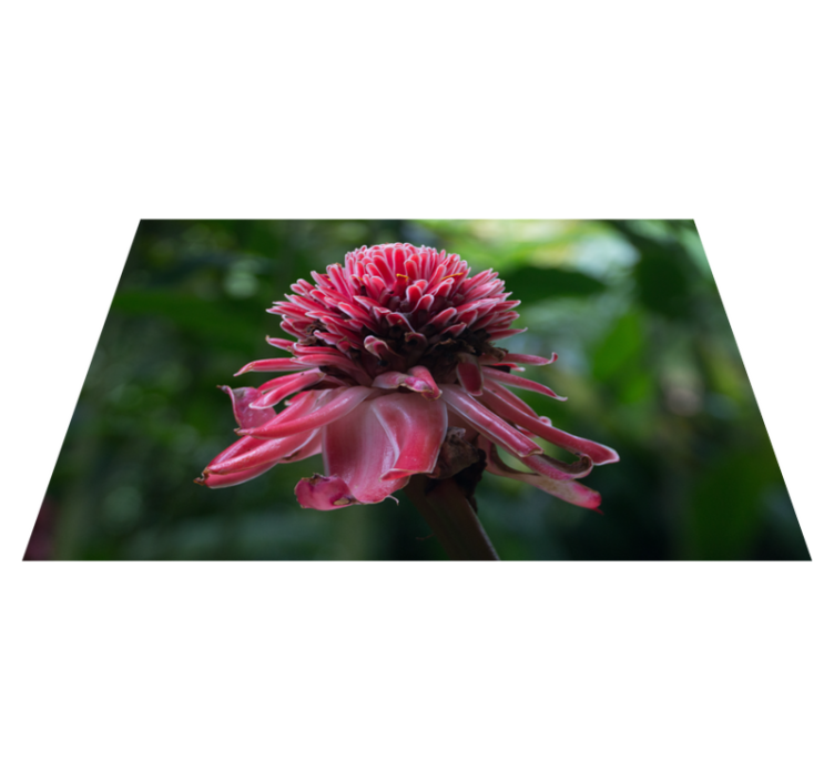 Naproane original aranjament floral tropical - TenStickers