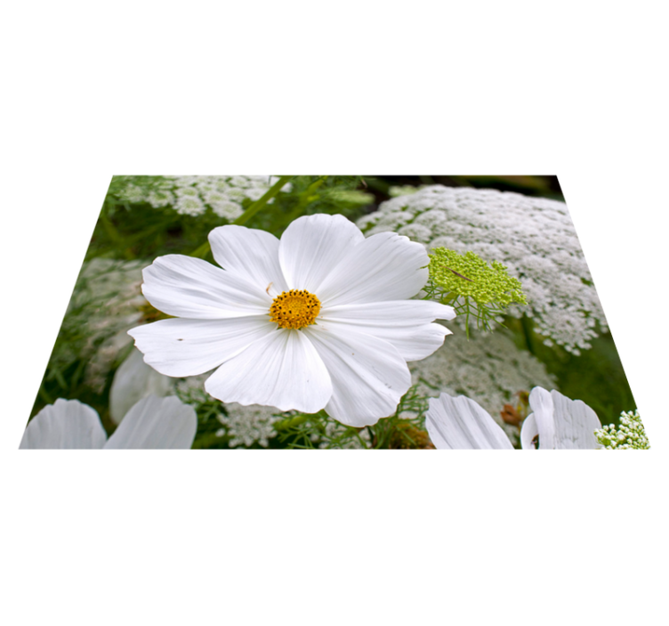 Naproane original floare albă elegantă - TenStickers