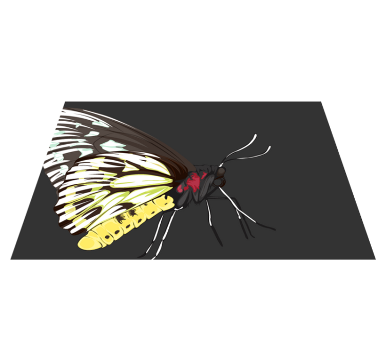 Naproane original ilustrație colorată cu fluturi - TenStickers