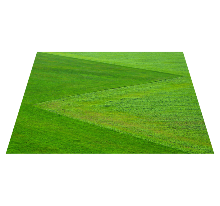 Naproane pentru copii aranjamente creative cu orez - TenStickers