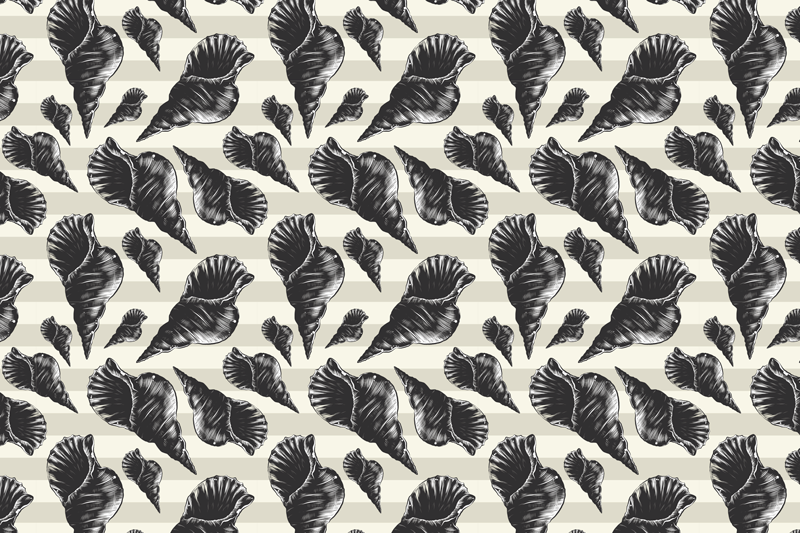 Naproane modern motive elegante de scoici - TenStickers