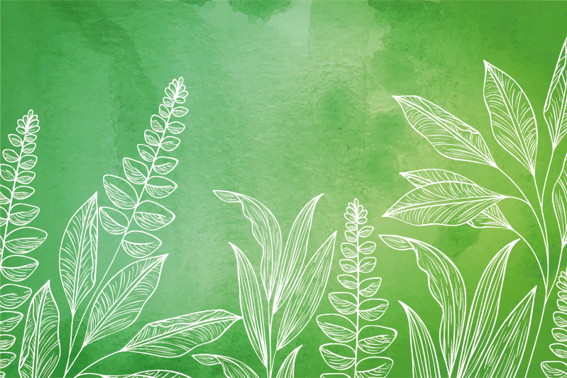 Naproane pentru copii set de ceai cu frunze - TenStickers