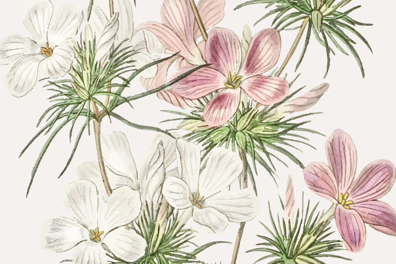 Naproane original aranjament floral botanic - TenStickers