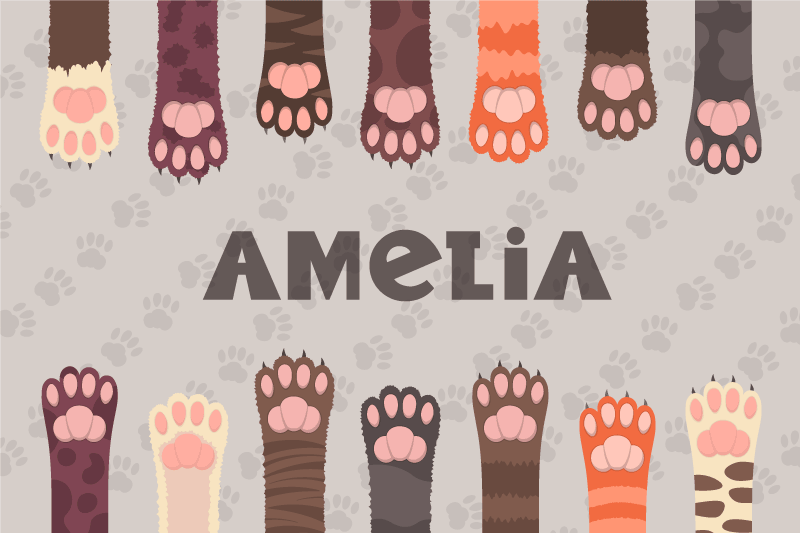 Pisici multicolore labe lapte personalizate - TenStickers