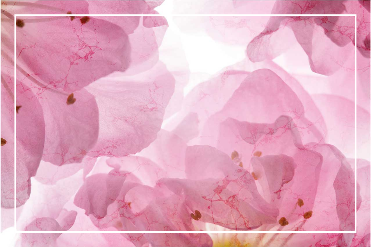 Naproane elegant cu model floral delicat - TenStickers