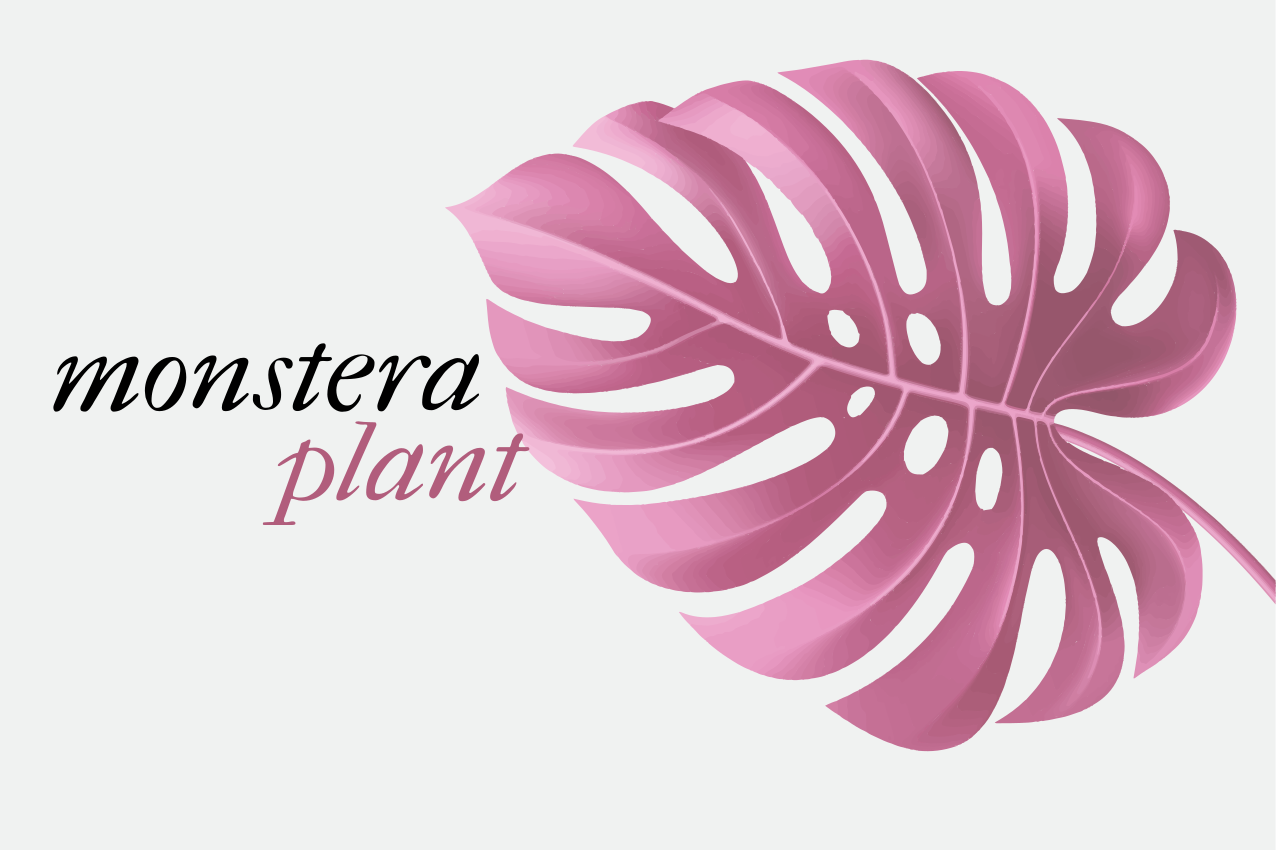 Naproane original cu motiv de frunză monstera - TenStickers