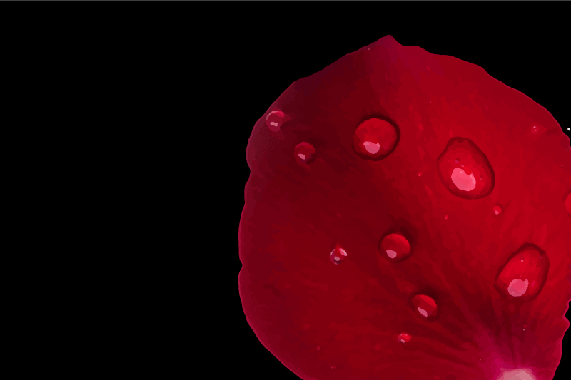 Naproane de textură suprafață petală roșie - TenStickers