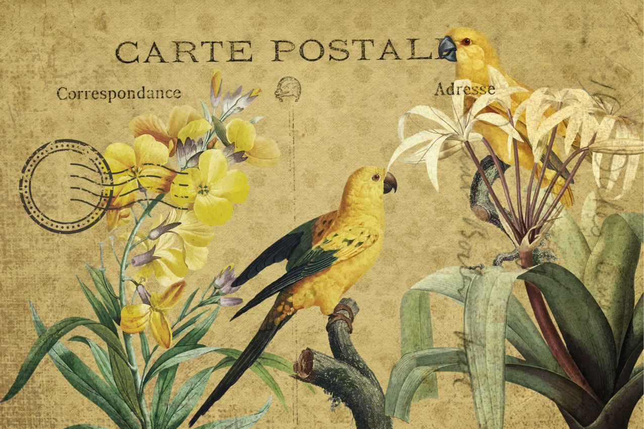 Naproane original cartolină florală vintage - TenStickers