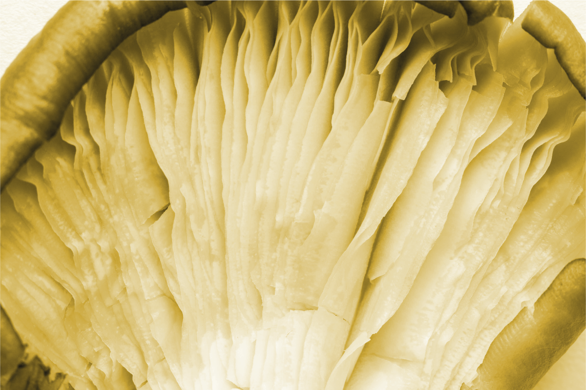 Naproane de textură cu straturi de frunze curbate - TenStickers