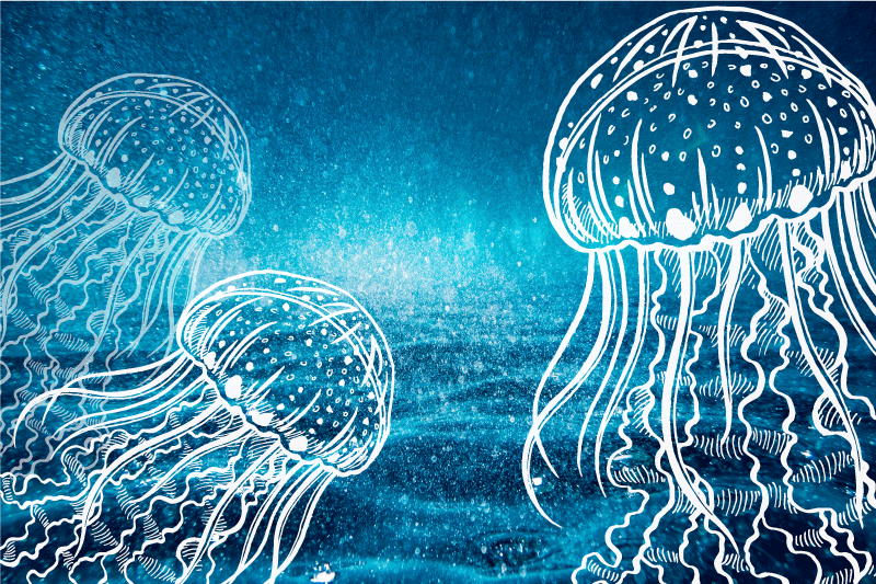 Naproane original peisaj oceanic cu meduze - TenStickers