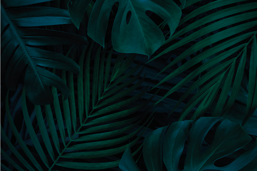 Naproane de textură atracția frunzelor tropicale - TenStickers