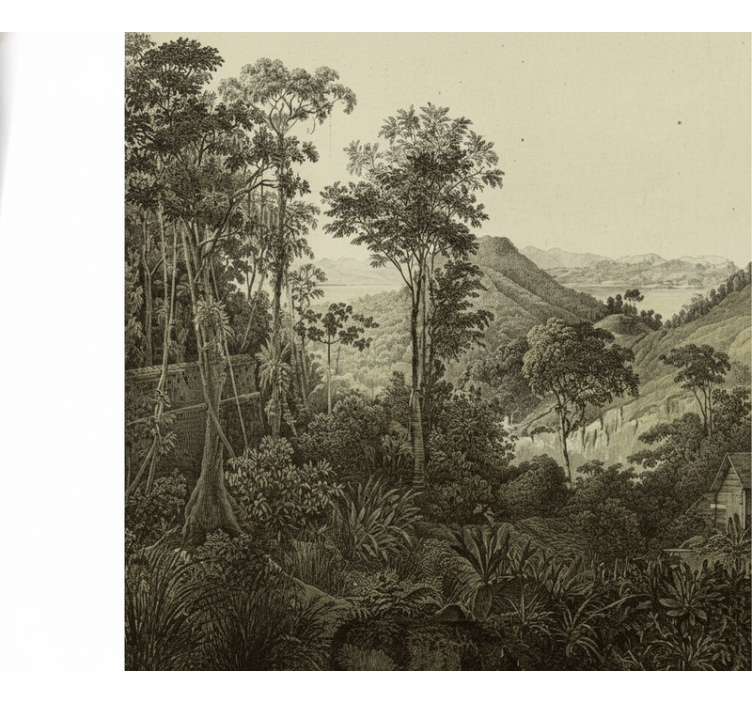 Păduri fototapet imprimare pădure deluroasă - TenStickers