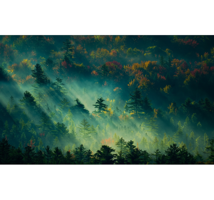 Păduri fototapet pădurea melancolică - TenStickers