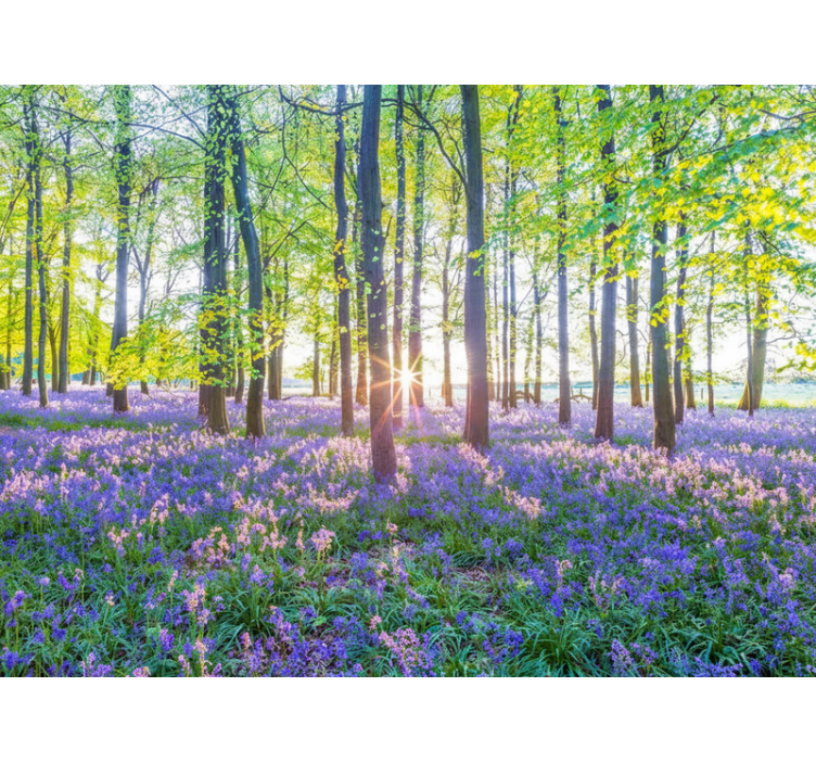 Păduri fototapet modernism inspirat din natură - TenStickers