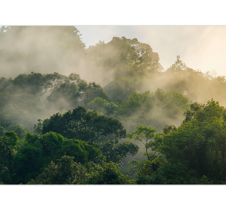 Păduri fototapet acoperiș de junglă verde - TenStickers