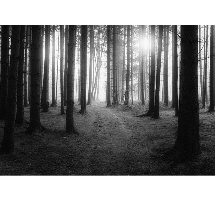 Mural mural de pădure gri pentru tine - TenStickers