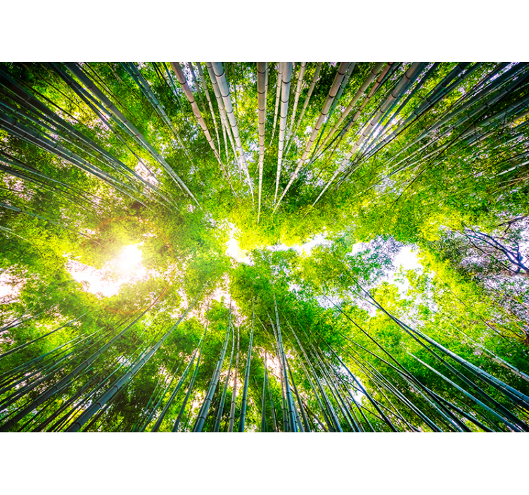 Pictură murală din bambus - TenStickers