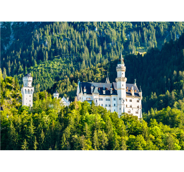 Fototapet de oraș cu vedere la castelul neuschwanstein - TenStickers