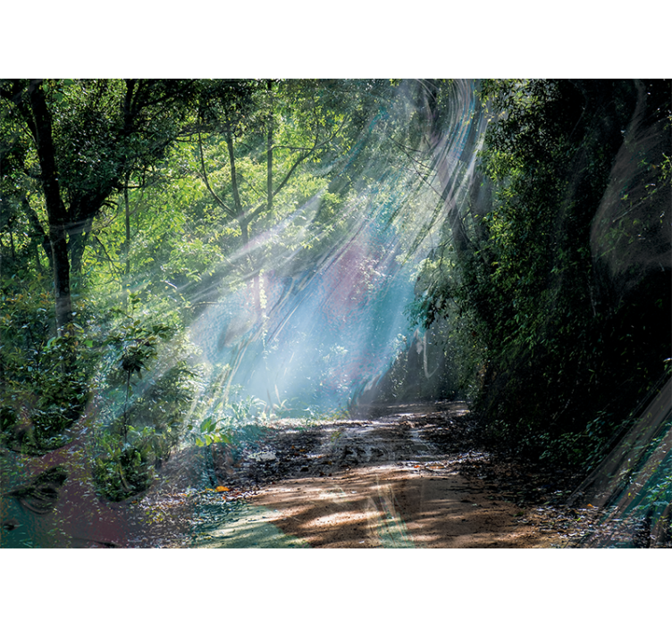 Fototapet natura calea radiantă a pădurii - TenStickers