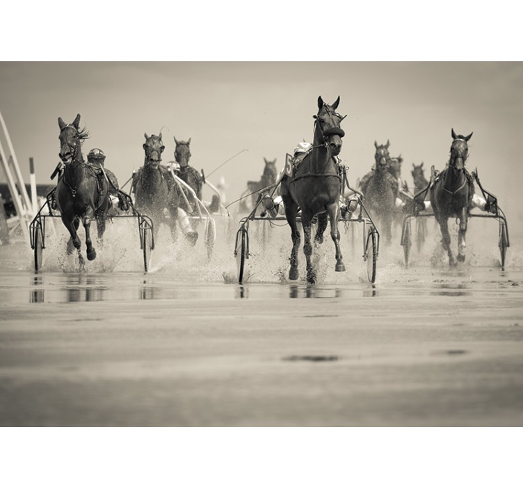 Fototapet animale cai care se întrec împreună - TenStickers