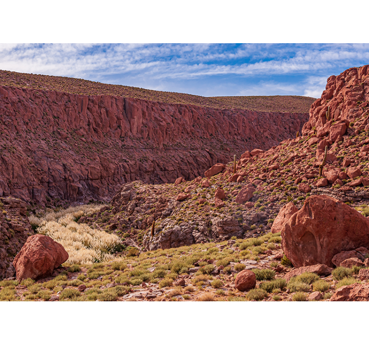 Muntele Fototapet peisaj deșertic roșu - TenStickers