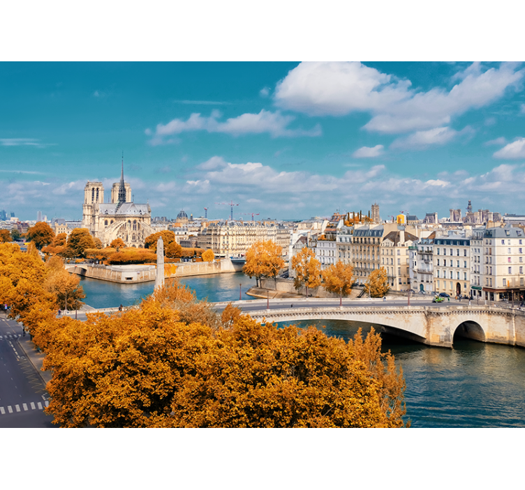Fototapet paris vedere de toamnă de la notre dame - TenStickers