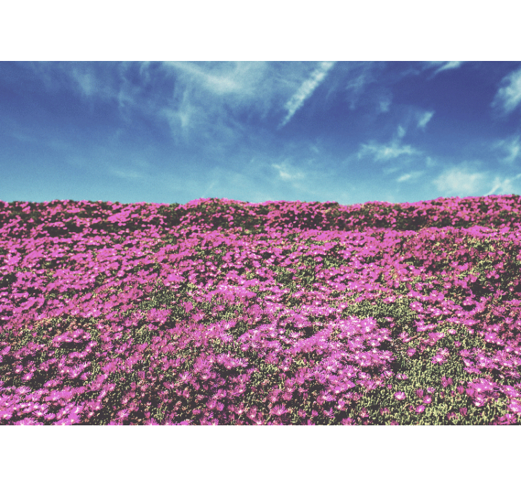 Fototapet cu flori flori roz vibrante - TenStickers