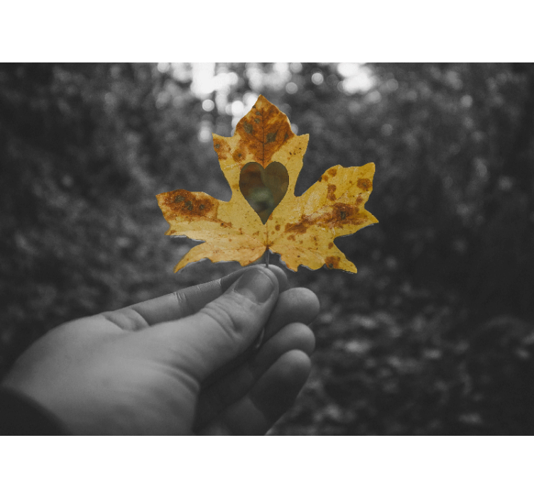 Fototapet natura frunză în formă de inimă - TenStickers