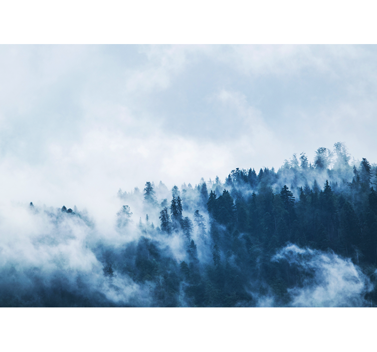 Fototapet natura peisajul pădurii cețoase - TenStickers
