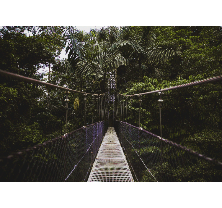 Fototapet natura aventura podului suspendat - TenStickers