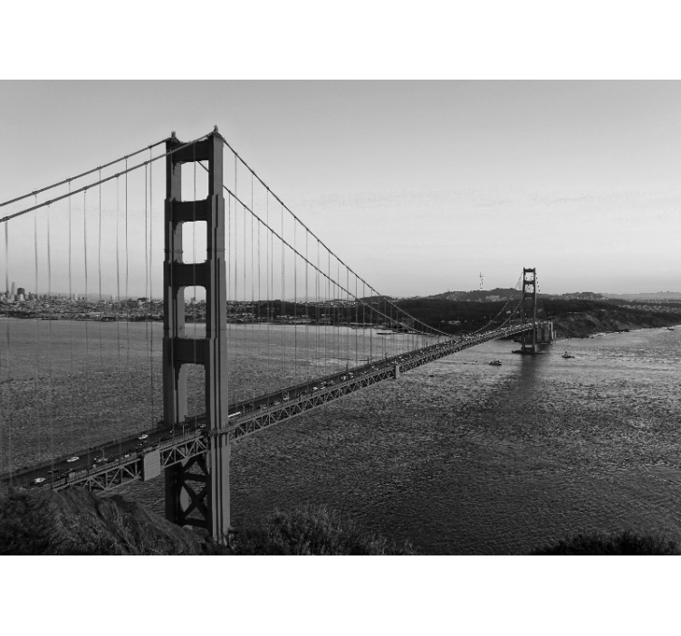 Fototapet de oraș structura golden gate - TenStickers