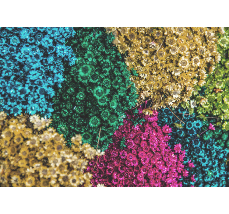 Fototapet cu flori modele florale colorate - TenStickers