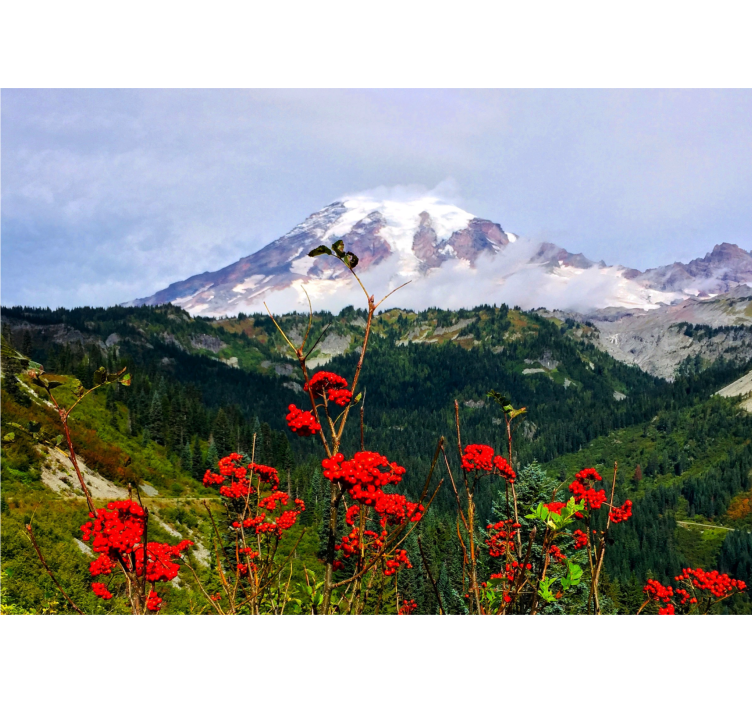 fototapetde munte și flori roșii - TenStickers
