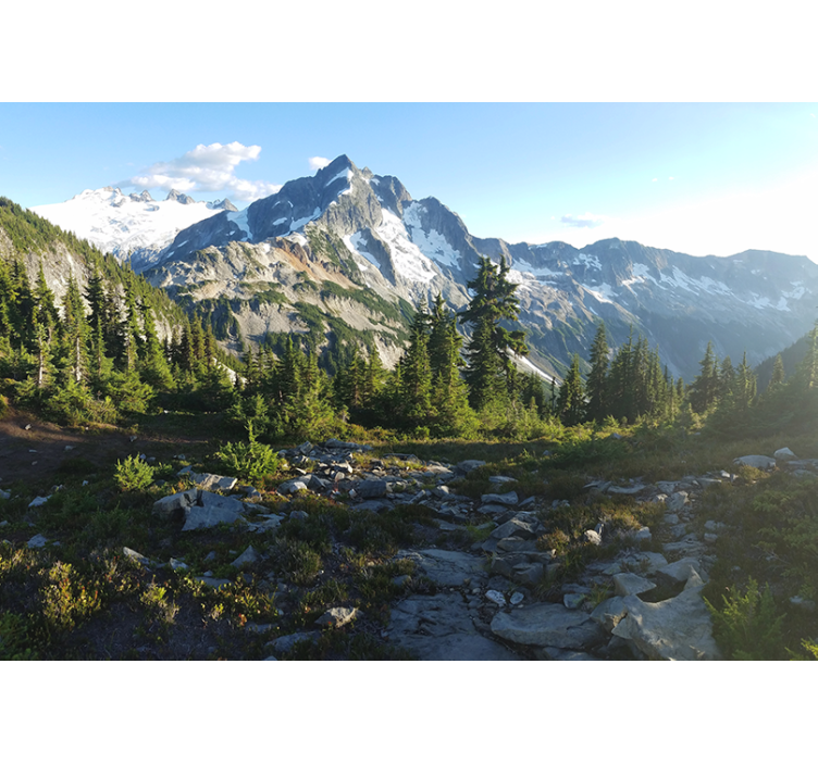 Fototapet peisaje vedere asupra pădurii montane - TenStickers