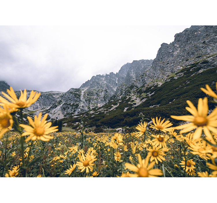 Fototapet cu flori pajiște cu flori galbene - TenStickers