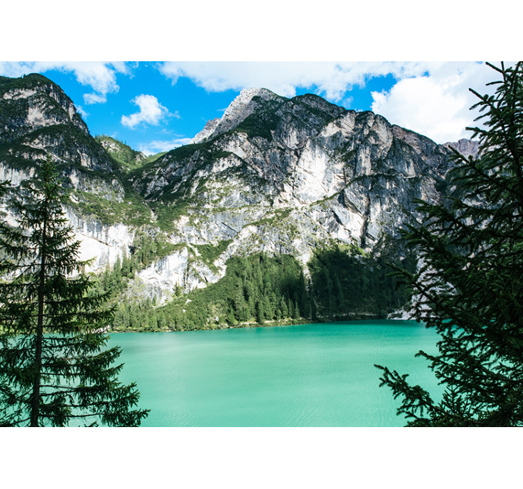 Fototapet peisaje panorama muntelui grand - TenStickers