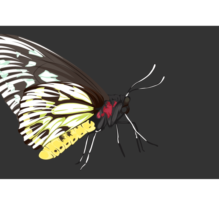 Fototapet cu flori design fluture galben - TenStickers