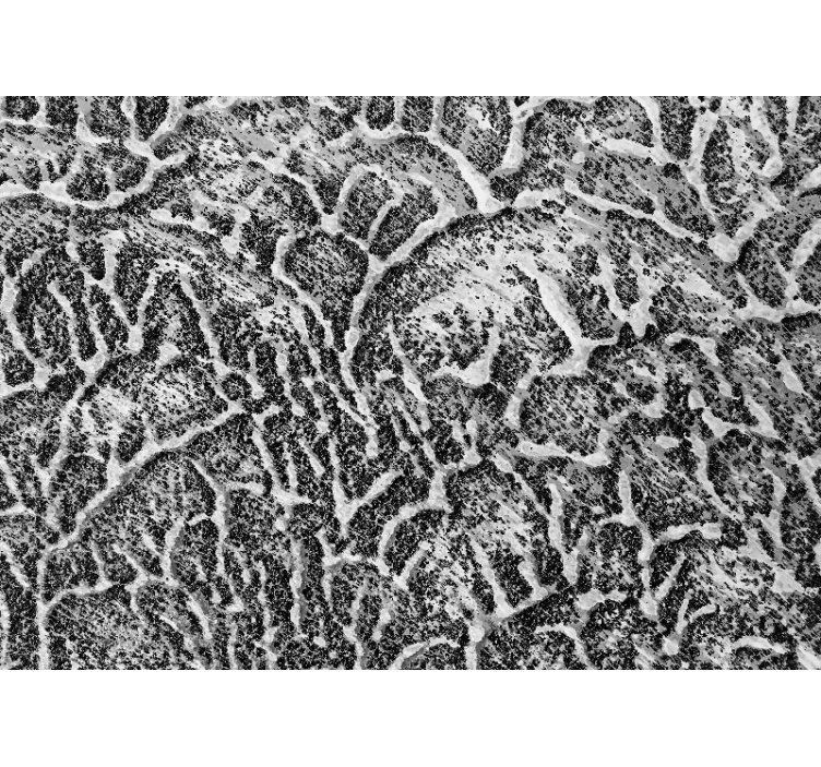 Fototapet texturat model cu textură organică - TenStickers