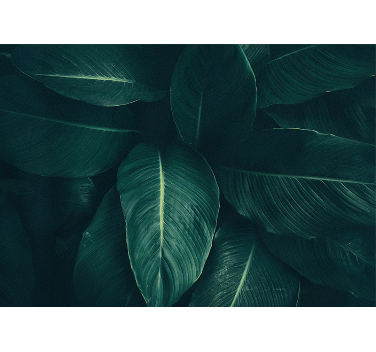 Mural de perete mare verde frunze tropicale - TenStickers