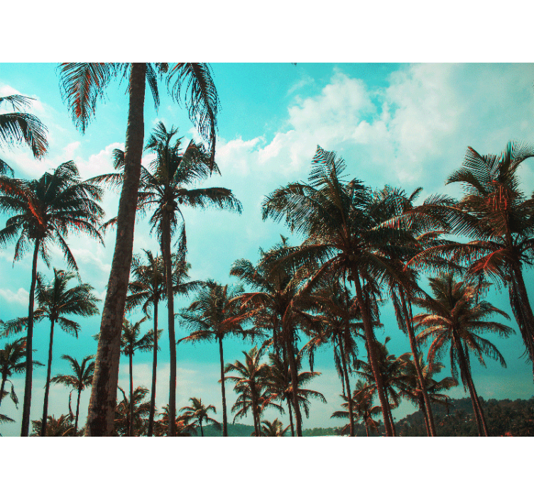 Fototapet natura paradisul palmierilor - TenStickers